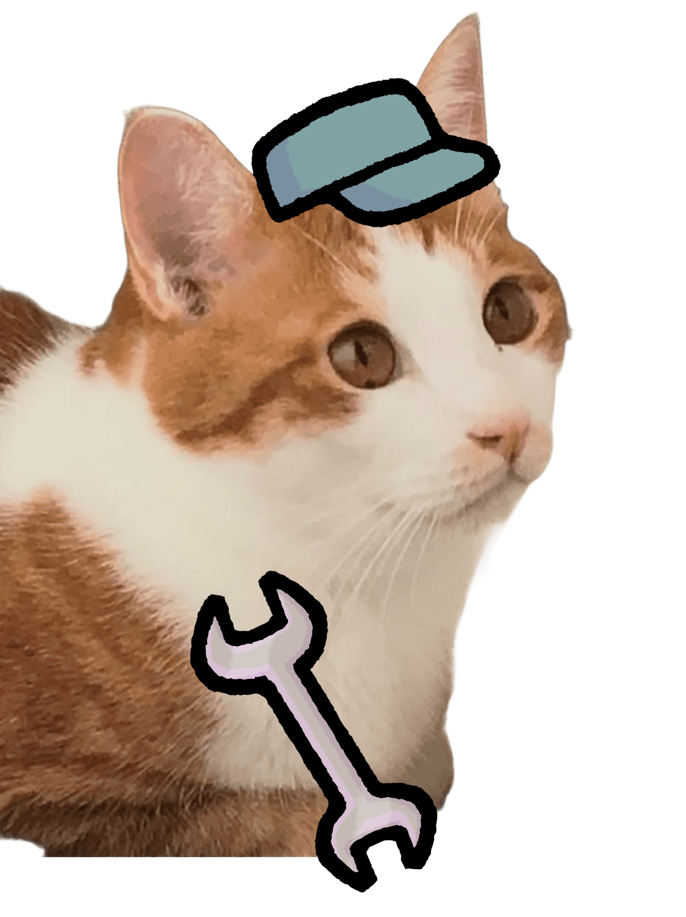 ねこ社員きーちゃん