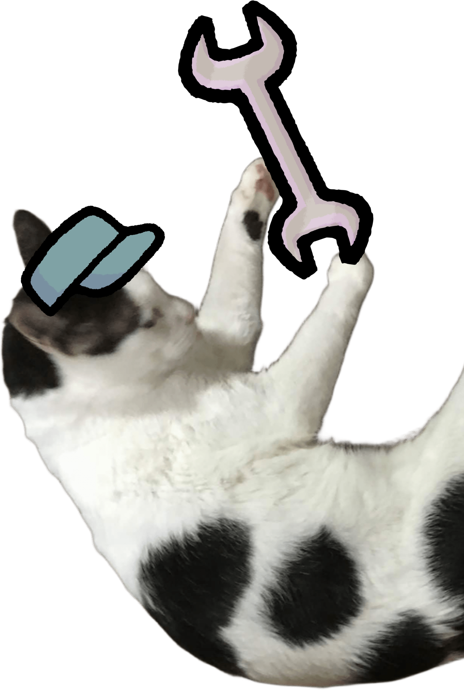 ねこ社員みーちゃん
